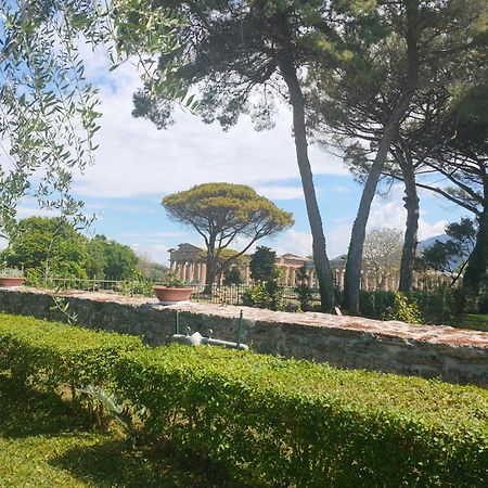 Il Giardino Di Athena 1 Lägenhet Paestum Exteriör bild