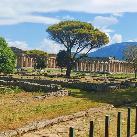 Il Giardino Di Athena 1 Lägenhet Paestum Exteriör bild