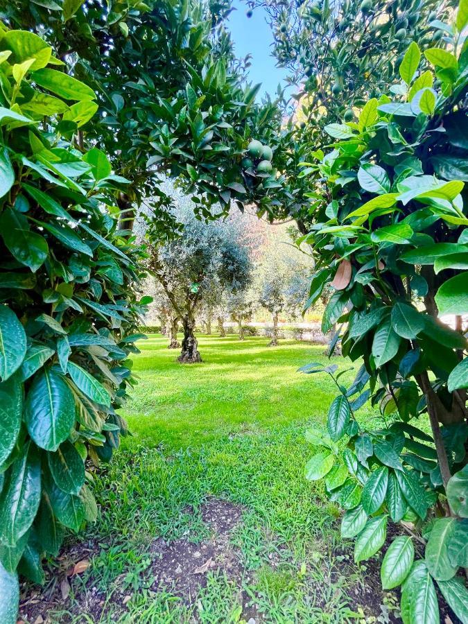 Il Giardino Di Athena 1 Lägenhet Paestum Exteriör bild