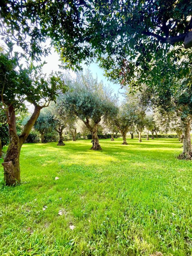 Il Giardino Di Athena 1 Lägenhet Paestum Exteriör bild