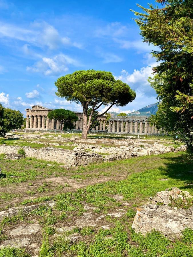 Il Giardino Di Athena 1 Lägenhet Paestum Exteriör bild
