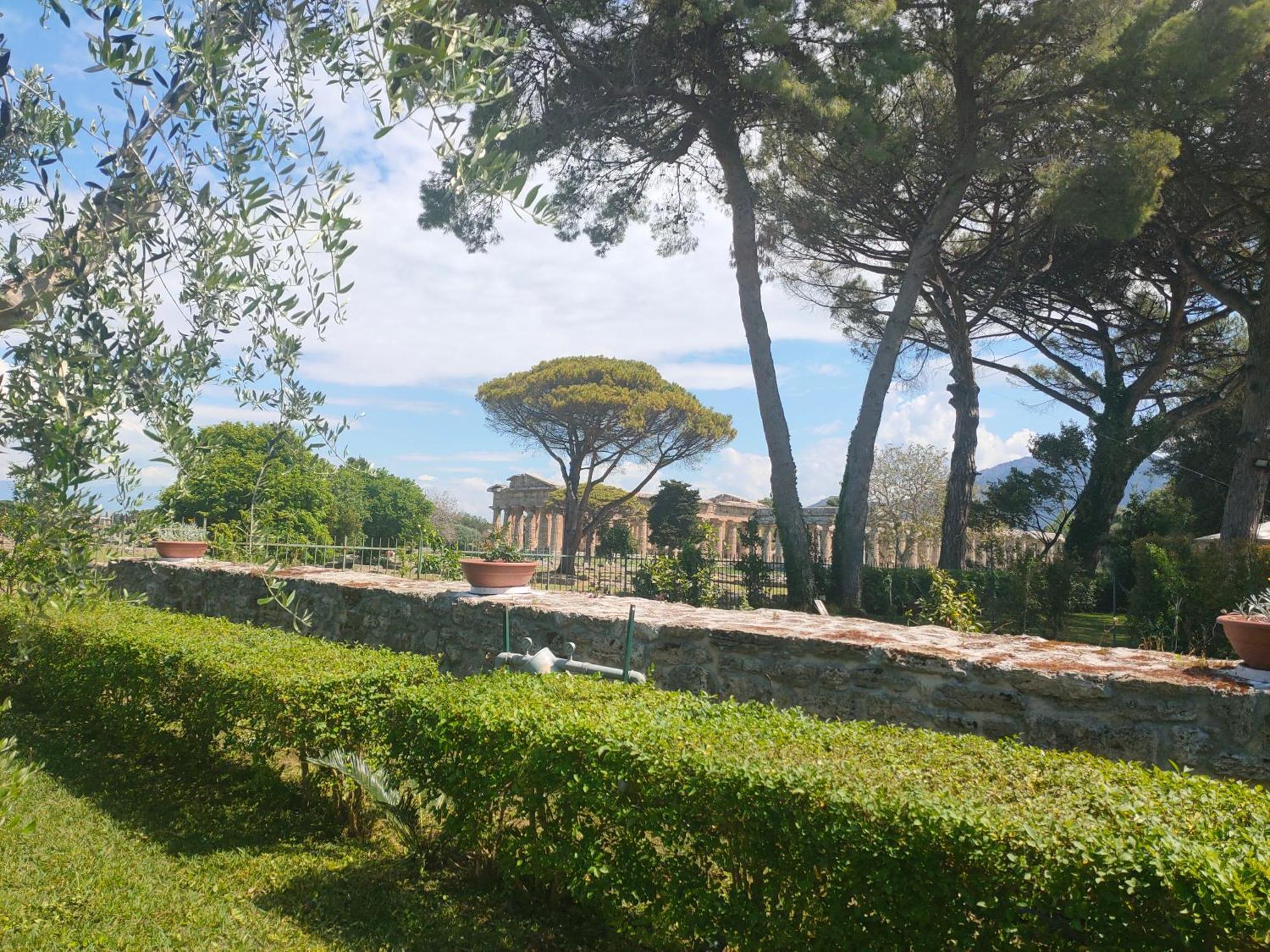 Il Giardino Di Athena 1 Lägenhet Paestum Exteriör bild