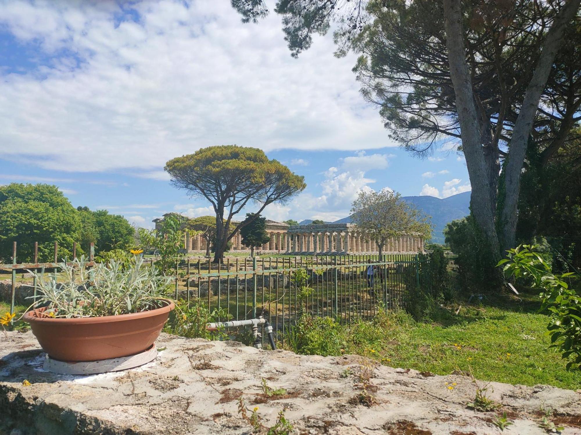 Il Giardino Di Athena 1 Lägenhet Paestum Rum bild