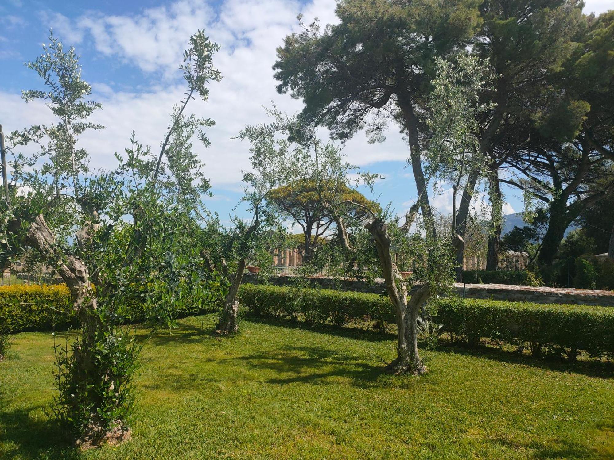 Il Giardino Di Athena 1 Lägenhet Paestum Exteriör bild